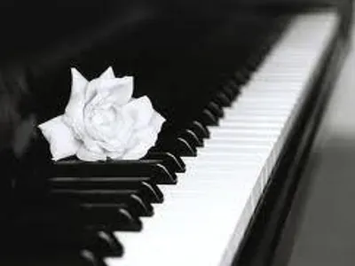 I wish.... I wish....