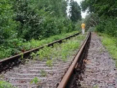 Wandering Wandering