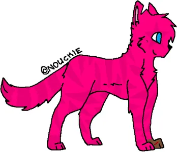 Hollywhisker's Apprentice Hollywhisker's Apprentice