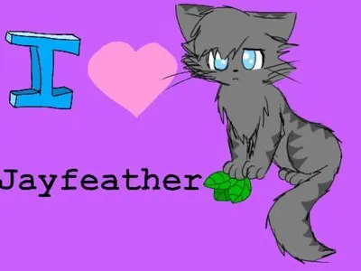 Thank you JayfeatherLover Thank you JayfeatherLover