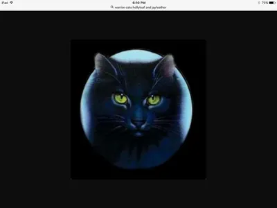 Hollyleaf's dare Hollyleaf's dare