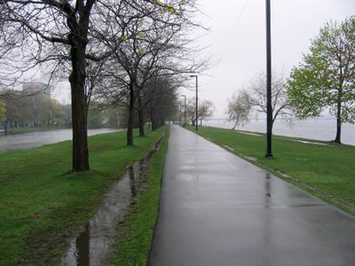Green Light: Someone steals your shoes on a rainy day - Red Light: Cow mutates and get human intelligence and hands Green Light: Someone steals your shoes on a rainy day - Red Light: Cow mutates and get human intelligence and hands
