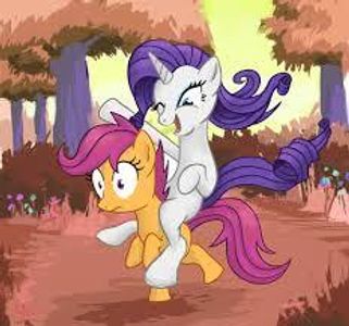 Rarity Rarity