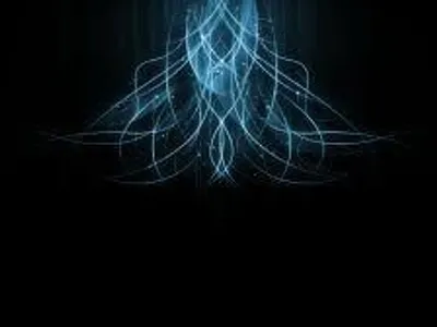 black holes black holes