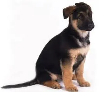 Start of a new life Start of a new life