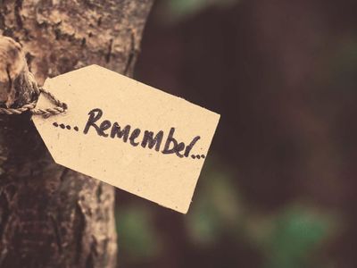 Chapter 1: The Memory Chapter 1: The Memory