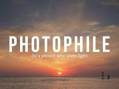 And You Take the Sun