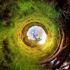 The rabbit Hole Down I Go The rabbit Hole Down I Go