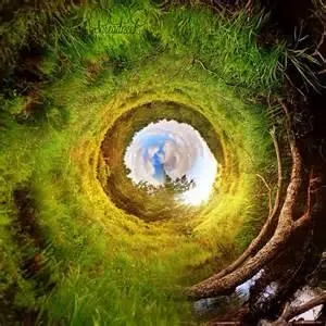 The rabbit Hole Down I Go The rabbit Hole Down I Go