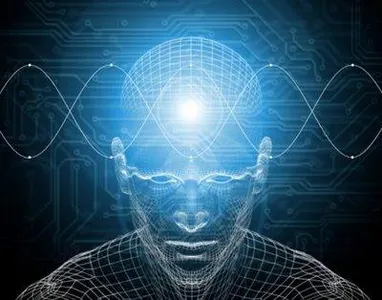 The Quantum Man The Quantum Man