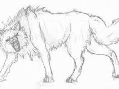 The Wolf The Wolf