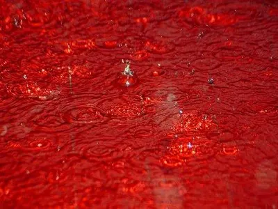 Extreme rain! Extreme rain!