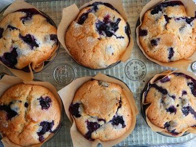 Blueberrylicous blueberry muffins (@BlueTheQuizWhiz97) Blueberrylicous blueberry muffins (@BlueTheQuizWhiz97)