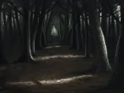 Forest.