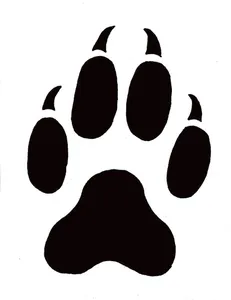 Beginning pawsteps. Beginning pawsteps.