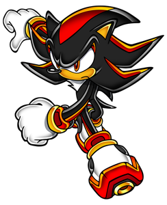 Shadow Shadow