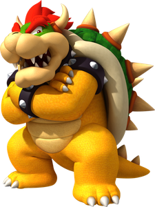 Bowser Bowser