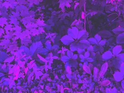 Chapter one - Blur Chapter one - Blur