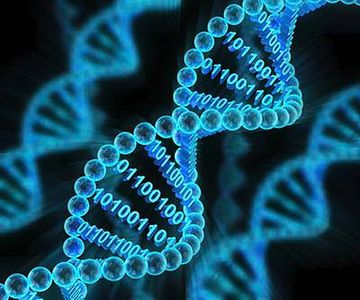 Binary DNA Binary DNA