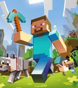 Steve Steve