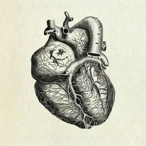 The Sad And Rotting Heart The Sad And Rotting Heart