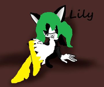 Lily the Cat Lily the Cat