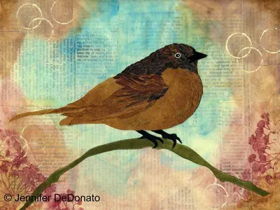 The Brown Bird's Song The Brown Bird's Song