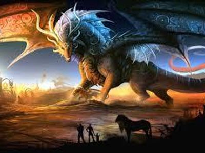 wisdom dragon wisdom dragon
