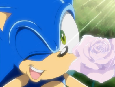 Sonic's couples. (I will not be doing a Shadow couples because some of those are more...adultish...and yeah. :DU) Sonic's couples. (I will not be doing a Shadow couples because some of those are more...adultish...and yeah. :DU)