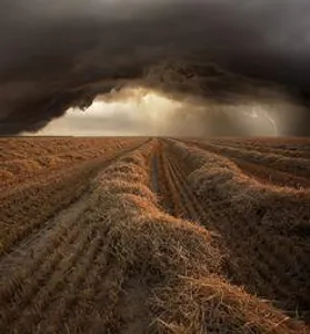 The Thing That Stalks the Fields The Thing That Stalks the Fields