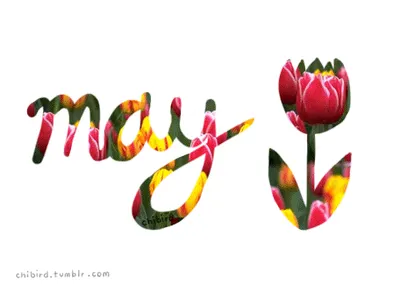 May May