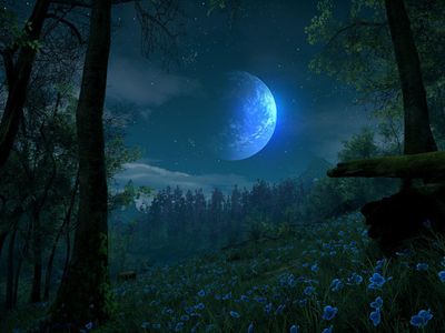 The Night Fall The Night Fall