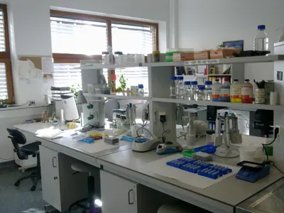 the lab the lab