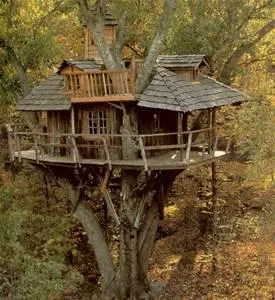 Own a Tree House and Spend the Night in It