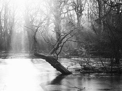 By the Edge of the water By the Edge of the water