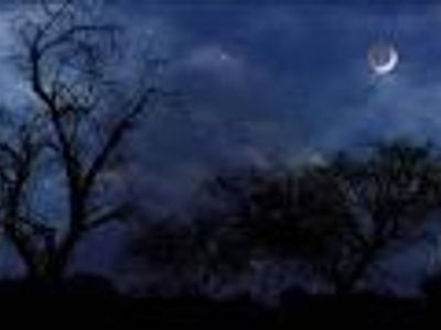 Dreadful nights Dreadful nights