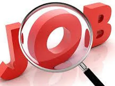 My New Job My New Job