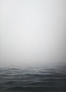 Fog Fog