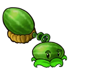 #5 #5