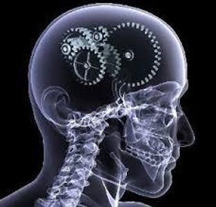 Eidetic Eidetic