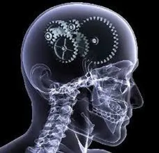Eidetic Eidetic