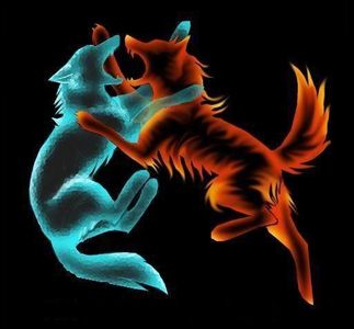 Two Opposites Meet Two Opposites Meet