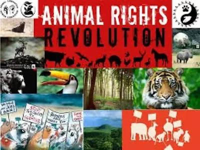 InfiniSpec69's Photo