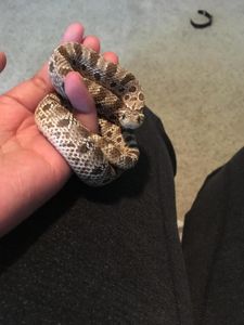 he’s so photogenic,,,