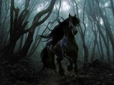 DarkHorse