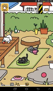 nikki (left) shadow (top right) and slipper (bottom right)