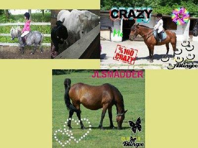 All my horses!Except sonto :D