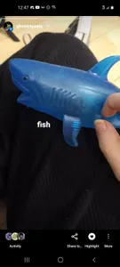 fish