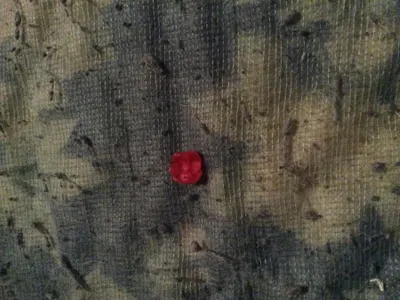 Itz a flower. Made of bluebell wax. GENIUSES!!