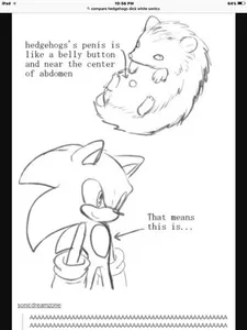 Sonicfan's Photo